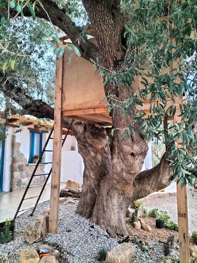 Bed and Breakfast Sole In Ogliastra Jerzu Exterior foto
