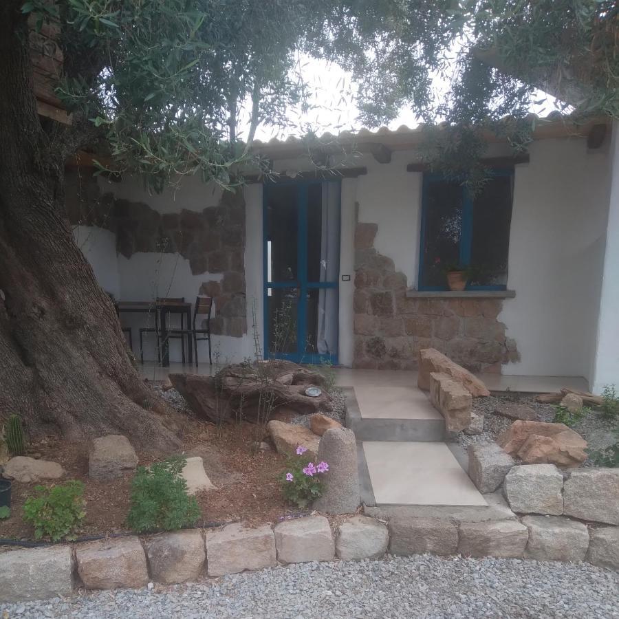 Bed and Breakfast Sole In Ogliastra Jerzu Exterior foto