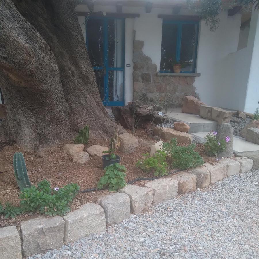 Bed and Breakfast Sole In Ogliastra Jerzu Exterior foto